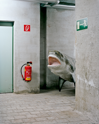 Illustration for article titled When they're off duty, these natural history museum exhibits find themselves in strange and hilarious positions
